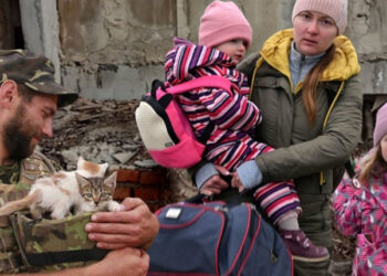 “Ти зрадниця, бо втекла”, “Ти зрадник, бо не на фронті”. Гендерні стереотипи у час війни