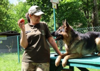 «Я б дуже жалкувала, якби не зробила цього колись». Історія кінологині з Глухова Валентини Солоревої